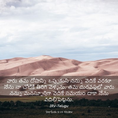 Picture 03 - హోషేయ 5:15 TELIRV - వారు తమ దోషాన్ని - Bible Verse Picture