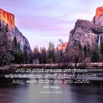 Picture 03 - హోషేయ 5:4 TELIRV - వారు నా దగ్గరికి - Bible Verse Picture