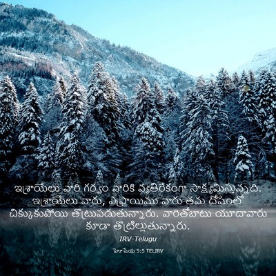 Picture 03 - హోషేయ 5:5 TELIRV - ఇశ్రాయేలు వారి - Bible Verse Picture