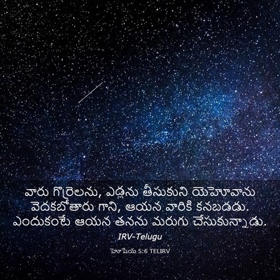 Picture 03 - హోషేయ 5:6 TELIRV - వారు గొర్రెలను, - Bible Verse Picture