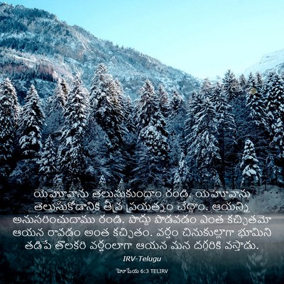 Picture 03 - హోషేయ 6:3 TELIRV - యెహోవాను - Bible Verse Picture