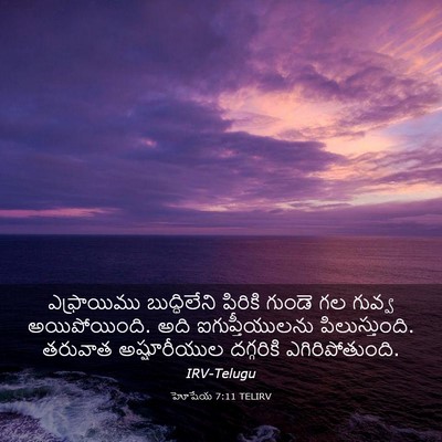 Picture 03 - హోషేయ 7:11 TELIRV - ఎఫ్రాయిము - Bible Verse Picture