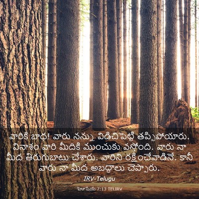 Picture 03 - హోషేయ 7:13 TELIRV - వారికి బాధ! వారు - Bible Verse Picture