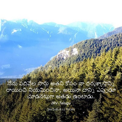 Picture 03 - హోషేయ 8:12 TELIRV - నేను పదివేల - Bible Verse Picture