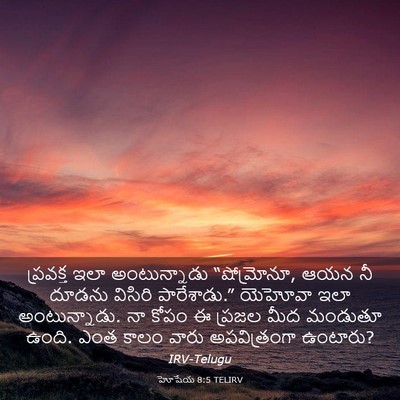 Picture 03 - హోషేయ 8:5 TELIRV - ప్రవక్త ఇలా - Bible Verse Picture