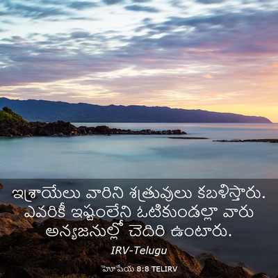 Picture 03 - హోషేయ 8:8 TELIRV - ఇశ్రాయేలు వారిని - Bible Verse Picture