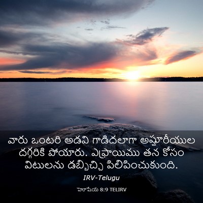 Picture 03 - హోషేయ 8:9 TELIRV - వారు ఒంటరి అడవి - Bible Verse Picture