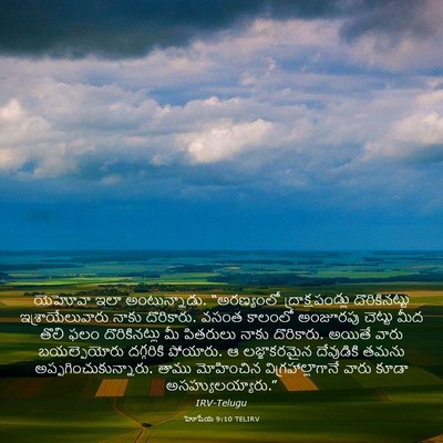 Picture 03 - హోషేయ 9:10 TELIRV - యెహోవా ఇలా - Bible Verse Picture