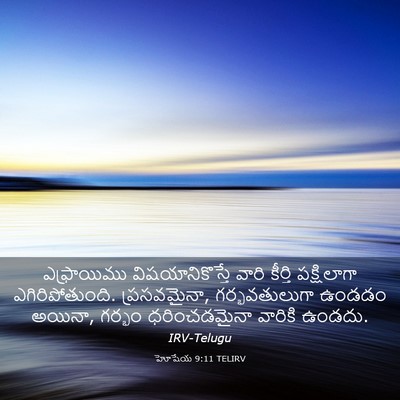 Picture 03 - హోషేయ 9:11 TELIRV - ఎఫ్రాయిము - Bible Verse Picture