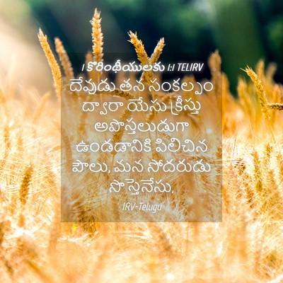 Picture 04 - 1 కొరింథీయులకు 1:1 TELIRV - దేవుడు తన సంకల్పం - Bible Verse Picture