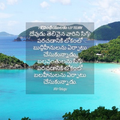 Picture 04 - 1 కొరింథీయులకు 1:27 TELIRV - దేవుడు తెలివైన - Bible Verse Picture
