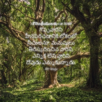 Picture 04 - 1 కొరింథీయులకు 1:28 TELIRV - గొప్పవారిని - Bible Verse Picture