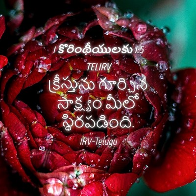Picture 04 - 1 కొరింథీయులకు 1:5 TELIRV - క్రీస్తును - Bible Verse Picture