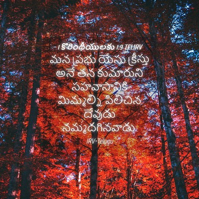 Picture 04 - 1 కొరింథీయులకు 1:9 TELIRV - మన ప్రభు యేసు - Bible Verse Picture