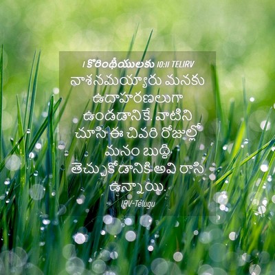 Picture 04 - 1 కొరింథీయులకు 10:11 TELIRV - నాశనమయ్యారు మనకు - Bible Verse Picture