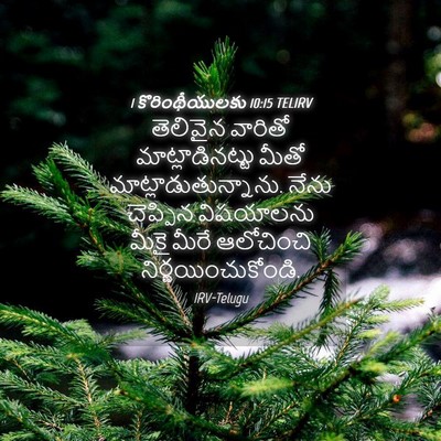 Picture 04 - 1 కొరింథీయులకు 10:15 TELIRV - తెలివైన వారితో - Bible Verse Picture