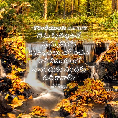 Picture 04 - 1 కొరింథీయులకు 10:30 TELIRV - నేను కృతజ్ఞతతో - Bible Verse Picture