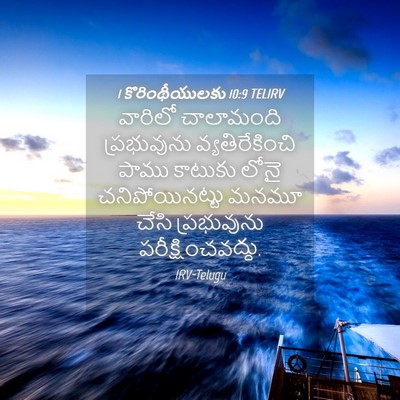 Picture 04 - 1 కొరింథీయులకు 10:9 TELIRV - వారిలో చాలామంది - Bible Verse Picture