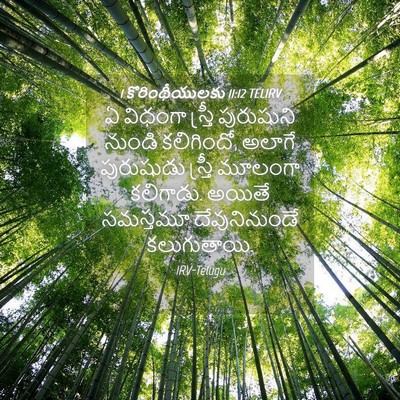 Picture 04 - 1 కొరింథీయులకు 11:12 TELIRV - ఏ విధంగా స్త్రీ - Bible Verse Picture
