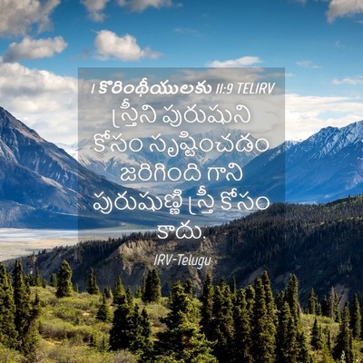 Picture 04 - 1 కొరింథీయులకు 11:9 TELIRV - స్త్రీని పురుషుని - Bible Verse Picture