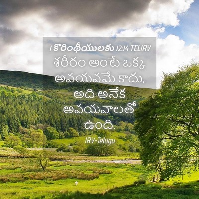 Picture 04 - 1 కొరింథీయులకు 12:14 TELIRV - శరీరం అంటే ఒక్క - Bible Verse Picture