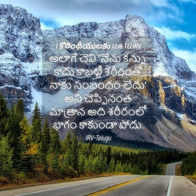 Picture 04 - 1 కొరింథీయులకు 12:16 TELIRV - అలాగే చెవి ‘నేను - Bible Verse Picture