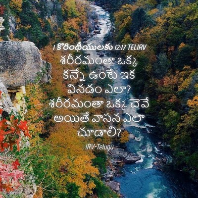 Picture 04 - 1 కొరింథీయులకు 12:17 TELIRV - శరీరమంతా ఒక్క - Bible Verse Picture