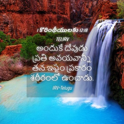 Picture 04 - 1 కొరింథీయులకు 12:18 TELIRV - అందుకే దేవుడు - Bible Verse Picture