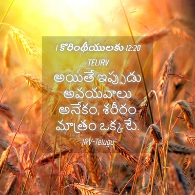 Picture 04 - 1 కొరింథీయులకు 12:20 TELIRV - అయితే ఇప్పుడు - Bible Verse Picture