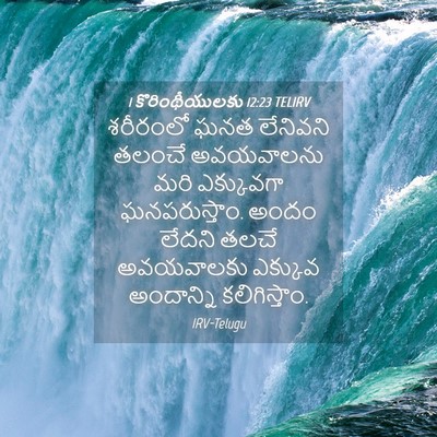 Picture 04 - 1 కొరింథీయులకు 12:23 TELIRV - శరీరంలో ఘనత - Bible Verse Picture