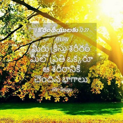 Picture 04 - 1 కొరింథీయులకు 12:27 TELIRV - మీరు క్రీస్తు - Bible Verse Picture