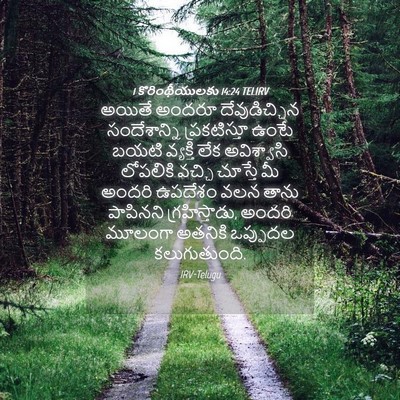 Picture 04 - 1 కొరింథీయులకు 14:24 TELIRV - అయితే అందరూ - Bible Verse Picture