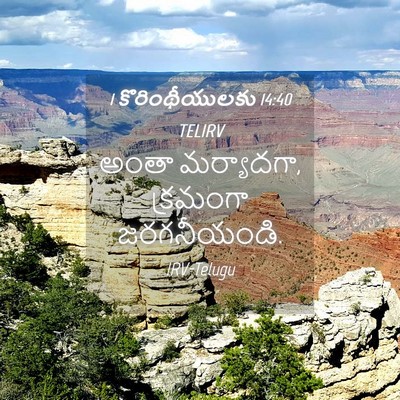 Picture 04 - 1 కొరింథీయులకు 14:40 TELIRV - అంతా మర్యాదగా, - Bible Verse Picture
