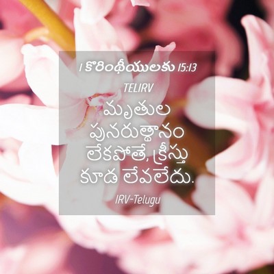 Picture 04 - 1 కొరింథీయులకు 15:13 TELIRV - మృతుల పునరుత్థానం - Bible Verse Picture