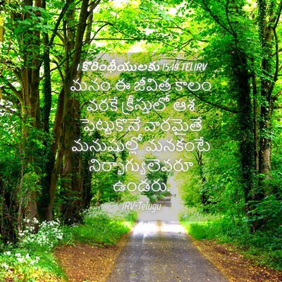 Picture 04 - 1 కొరింథీయులకు 15:19 TELIRV - మనం ఈ జీవిత కాలం - Bible Verse Picture
