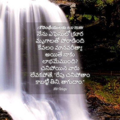 Picture 04 - 1 కొరింథీయులకు 15:32 TELIRV - నేను ఎఫెసులో - Bible Verse Picture