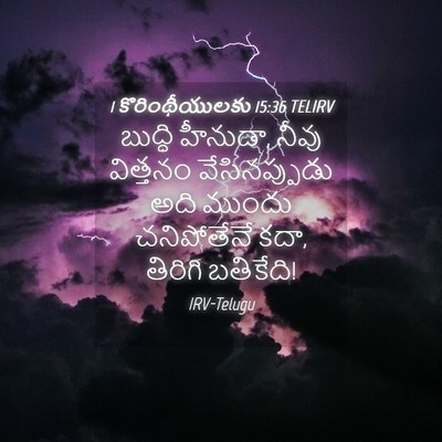 Picture 04 - 1 కొరింథీయులకు 15:36 TELIRV - బుద్ధి హీనుడా, - Bible Verse Picture
