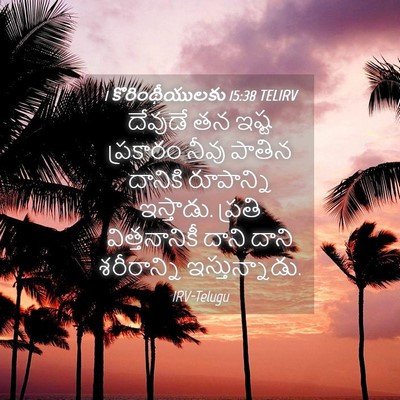 Picture 04 - 1 కొరింథీయులకు 15:38 TELIRV - దేవుడే తన ఇష్ట - Bible Verse Picture
