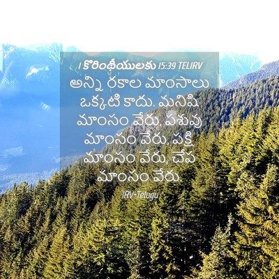 Picture 04 - 1 కొరింథీయులకు 15:39 TELIRV - అన్ని రకాల - Bible Verse Picture