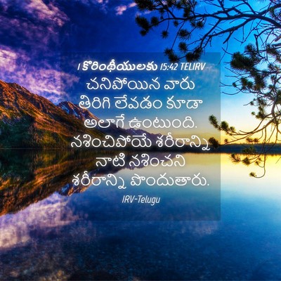 Picture 04 - 1 కొరింథీయులకు 15:42 TELIRV - చనిపోయిన వారు - Bible Verse Picture
