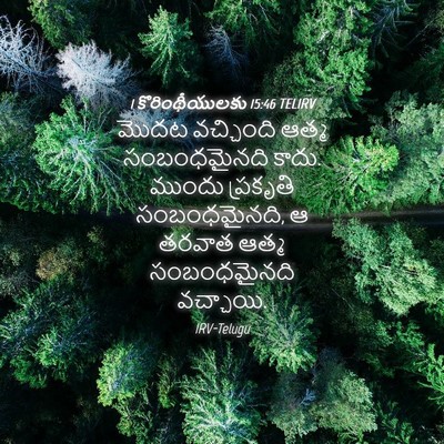 Picture 04 - 1 కొరింథీయులకు 15:46 TELIRV - మొదట వచ్చింది - Bible Verse Picture