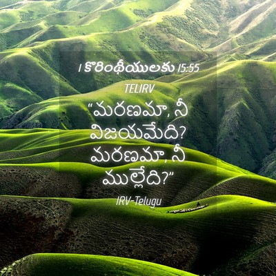 Picture 04 - 1 కొరింథీయులకు 15:55 TELIRV - “మరణమా, నీ - Bible Verse Picture