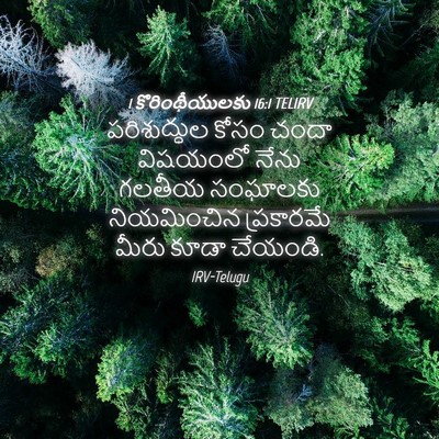 Picture 04 - 1 కొరింథీయులకు 16:1 TELIRV - పరిశుద్ధుల కోసం - Bible Verse Picture