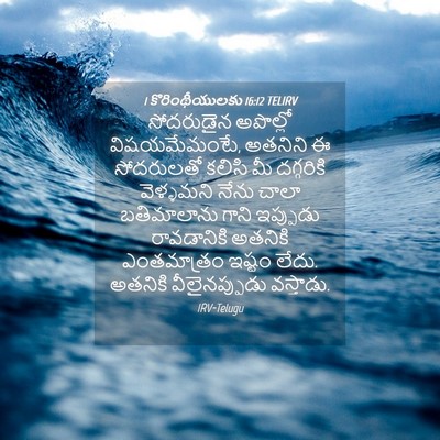 Picture 04 - 1 కొరింథీయులకు 16:12 TELIRV - సోదరుడైన అపొల్లో - Bible Verse Picture
