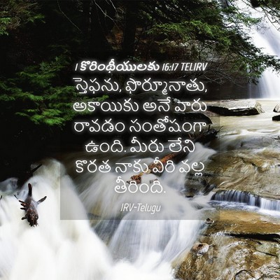 Picture 04 - 1 కొరింథీయులకు 16:17 TELIRV - స్తెఫను, - Bible Verse Picture