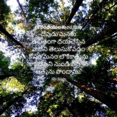 Picture 04 - 1 కొరింథీయులకు 2:12 TELIRV - దేవుడు మనకు - Bible Verse Picture