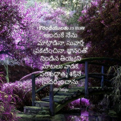 Picture 04 - 1 కొరింథీయులకు 2:5 TELIRV - అందుకే నేను - Bible Verse Picture