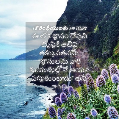 Picture 04 - 1 కొరింథీయులకు 3:19 TELIRV - ఈ లోక జ్ఞానం - Bible Verse Picture