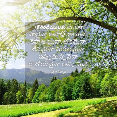 Picture 04 - 1 కొరింథీయులకు 3:22 TELIRV - పౌలైనా, అపొల్లో - Bible Verse Picture