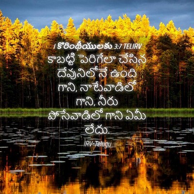 Picture 04 - 1 కొరింథీయులకు 3:7 TELIRV - కాబట్టి పెరిగేలా - Bible Verse Picture